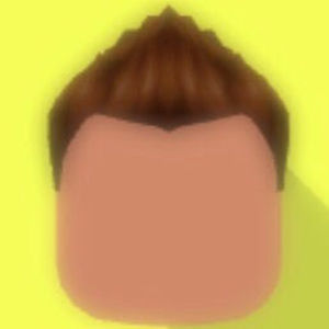 Meet your Posher, Ace